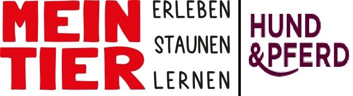 Infostände des StBK in Aktion