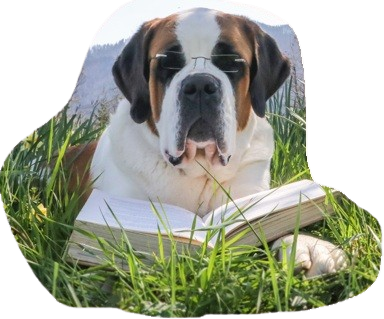 Mitarbeiter/in Redaktion gesucht